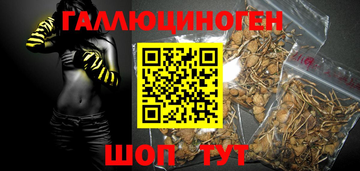 Псилоцибиновые грибы GOLDEN TEACHER Домодедово