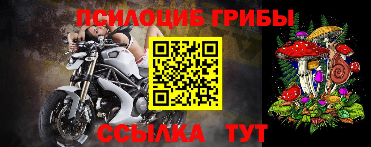 Домодедово  Псилоцибиновые грибы мицелий  Галлюциногенные грибы Psilocybe  Вход с VPN 